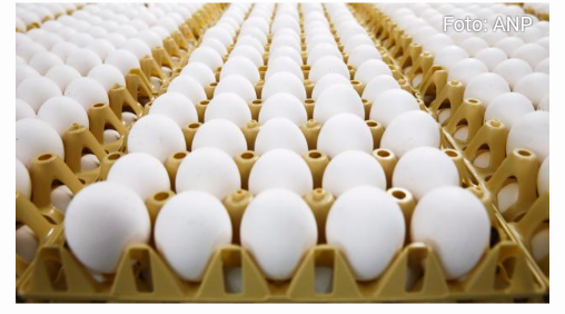 ♦أزمة البيض الملوث تشمل بالتأكيد 17 بلدا