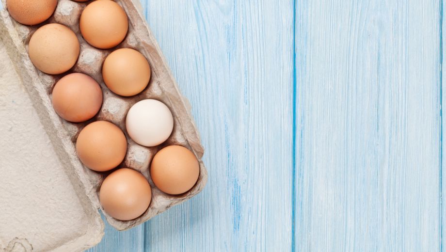  ماذا يحدث اذا أكلت البيض الملوث ؟ 6 أسئلة واجاباتها حول البيض الملوث بالفبرونيل