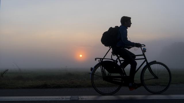  مجلس السلامة الهولندي VVN يريد التخلص من الدراجات الهوائية الرجالية للأمان