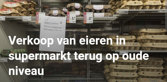 معدلات بيع البيض في المتاجر تعود الى مستوياتها السابقة