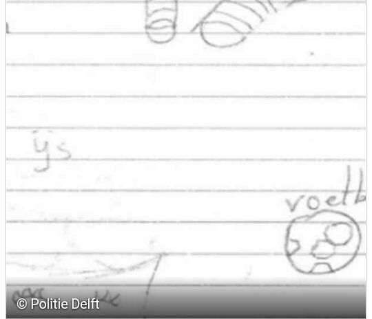 طلب غريب من شرطة دلفت ، يريدون ليزا !