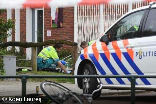 النشرة اليومية للحوادث في هولندا