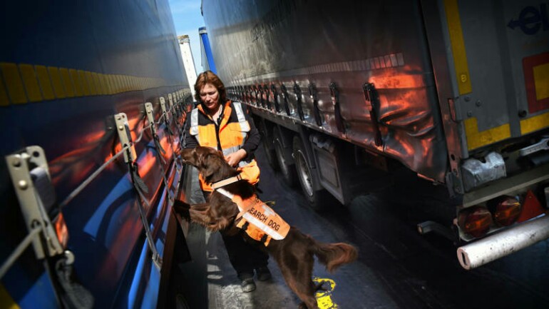 نشاط وأعمال العصابات الألبانية الاجرامية يتصاعد في هولندا بشكل ملحوظ