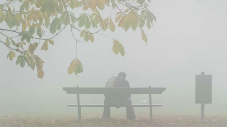 ربع الهولنديين لديهم اضطرابات في الدماغ، والحقيقة أكثر من ذلك !