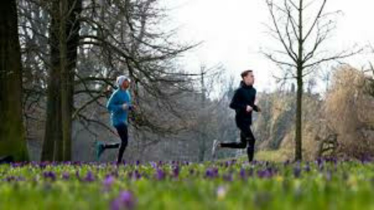 الحرارة الدافئة تعود الى هولندا خلال الأيام القادمة