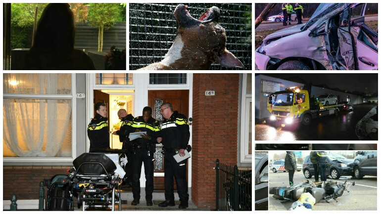 الأخبار اليومية للجرائم والحوادث في هولندا - الخميس 25 يناير 2018