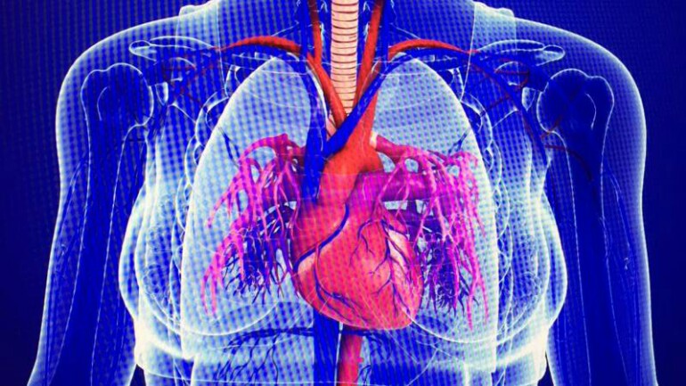 عدد قليل جدا من أطباء القلب وأطباء العائلة يفهمون قلب المرأة في هولندا !!