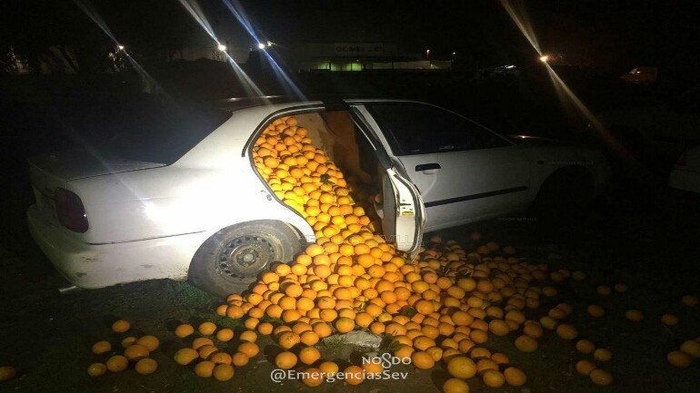 الشرطة تلقي القبض على لصوص البرتقال بعد لفت انتباهها بسياراتهم المملوئة عن أخرها !