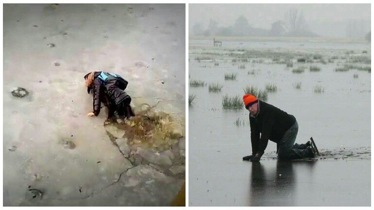 رجل مسن يلقى مصرعه بعد انقاذ حفيده - كلب ينقذ مالكته التي سقطت في المياه