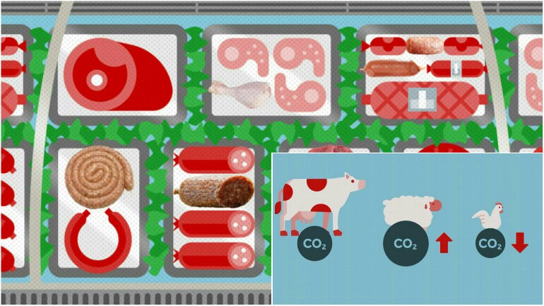 الأسبوع الوطني الأول للإقلاع عن تناول اللحوم في هولندا- مضرة للبيئة والمناخ!