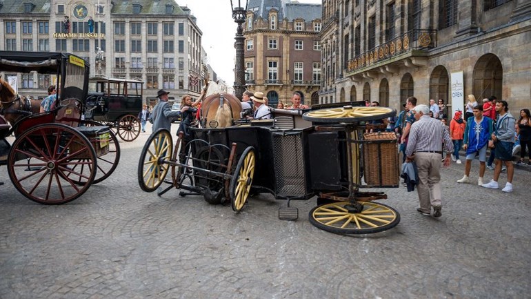 عربات الخيول السياحية ستختفي من شوارع مدينة أمستردام