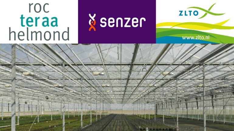 الإندماج الى جانب العمل - خطة مكتب العمل سينزر للحاصلين على الإقامة في هيلموند وسوميرين