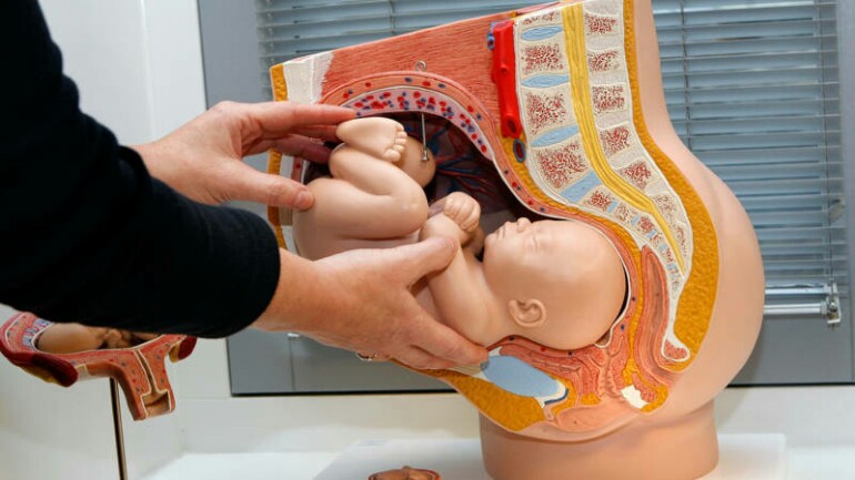 تعرض النساء للمواد الضارة أثناء الحمل يؤثر على الأطفال في سن البلوغ