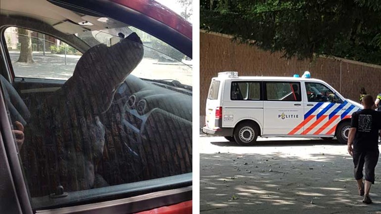 الشرطة تنقذ كلبا من سيارة في روتردام وتغرم مالكته - كان ممكن أن يموت
