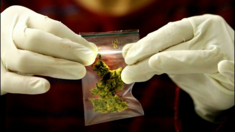 تجمع الأطباء العامين الهولندي يرفض وصف الحشيش كمسكن ألام من قبل طبيب الأسرة