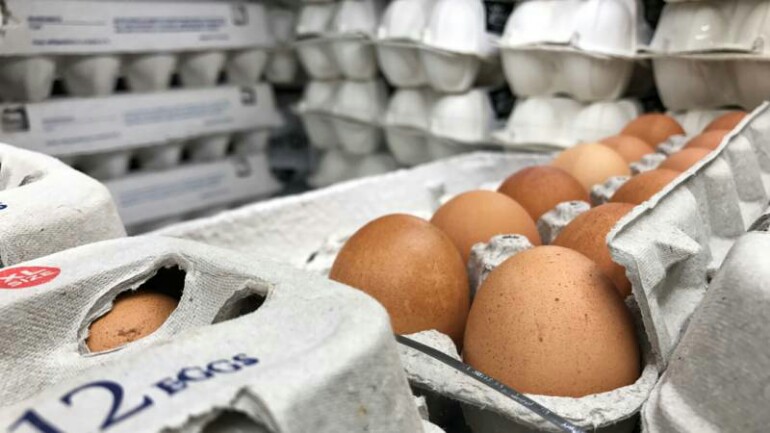 البيض الهولندي الملوث بمبيد الفبرونيل في الأسواق الألمانية
