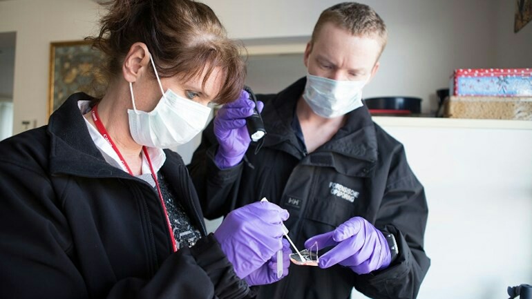 الشرطة تنشر كاميرات مراقبة بعد اطلاق النار ورمي قنبلة على منزل في Schiedam