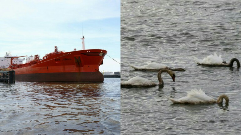تسرب نفطي كبير في ميناء بروتردام - هناك امكانية لتلوث الشواطيء