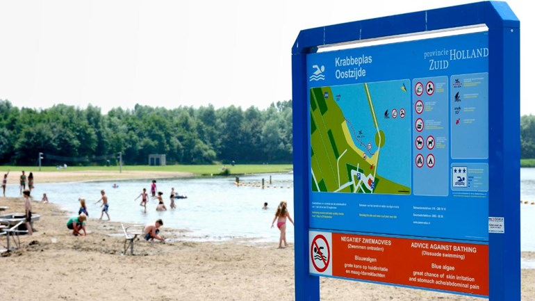 تحذير من السباحة في الكثير من البحيرات في كافة أنحاء هولندا بسبب الطحالب الزرقاء