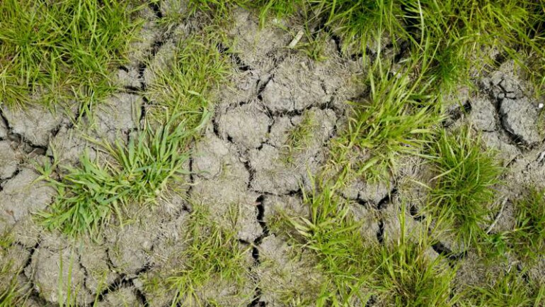 الجفاف في هولندا - احذروا من النيران وخففوا الإستحمام واستهلاك المياه !!