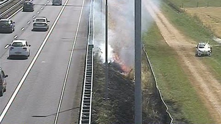 خدمة الطرق الهولندية Rijkswaterstaat تحذر سائقي السيارات من رمي أعقاب السجائر