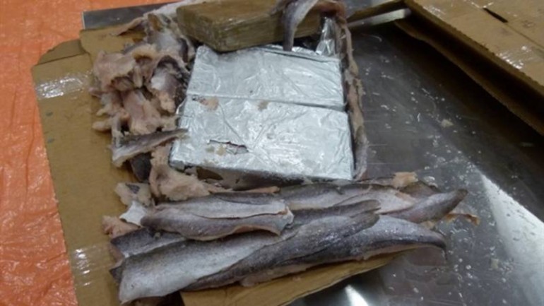 اكتشاف 1100 كغ كوكايين بين الأسماك المجمدة في زاندام واعتقال سبعة مشتبه بهم