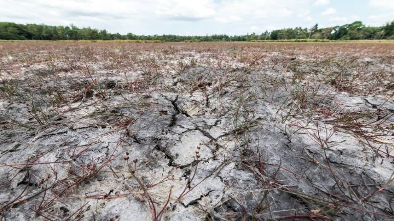 نقص بالمياه في جنوب وشرق هولندا ممكن أن يمتد لبقية أنحاء البلاد