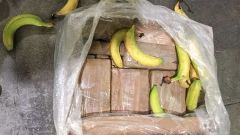 اكتشاف شحنة كوكايين بين الموز صباح اليوم - لماذا يفضل المهربين اخفاء المخدرات بشحنات الموز ؟