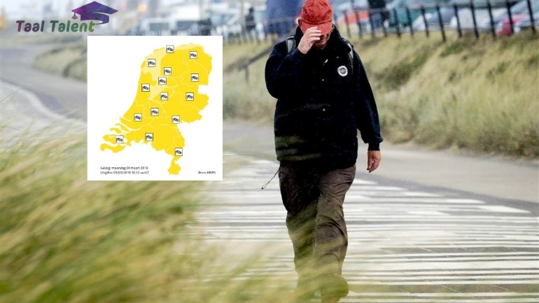 الأرصاد الجوية الهولندية تصدر الرمز التحذيري الأصفر لكل هولندا بسبب الرياح الشديدة غدا الإثنين