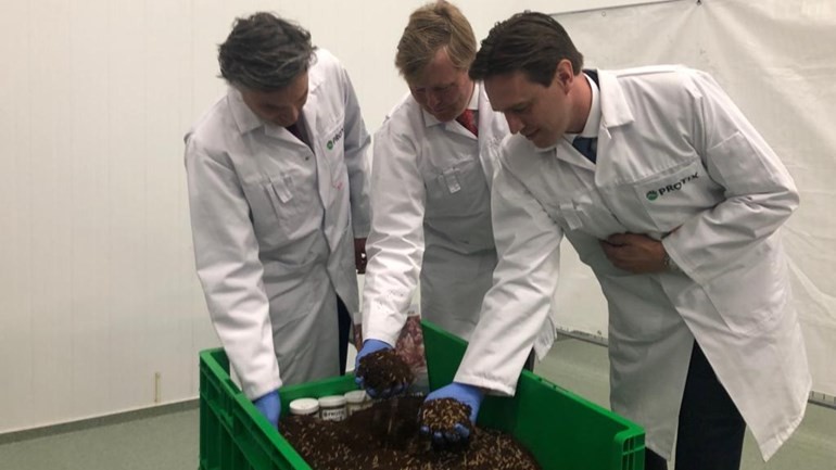 الملك Willem-Alexander يفتتح مزرعة للحشرات صباح اليوم في بيرخن أوب زوم 