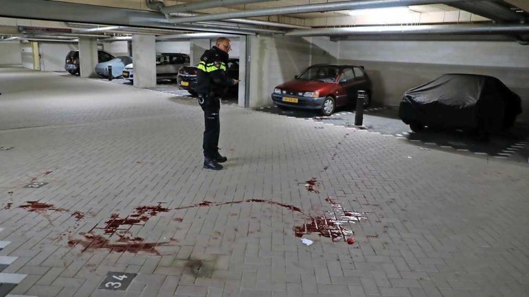 اصابة امرأة مسنة بجروح خطيرة جراء مهاجمتها من كلبين في فالفايك
