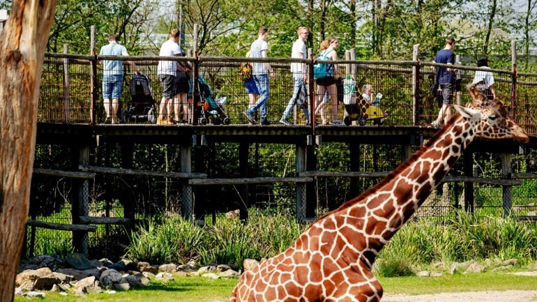 حديقة الحيوانات Blijdorp في روتردام تعرض الدخول المجاني للأطفال في يوم إضراب المعلمين
