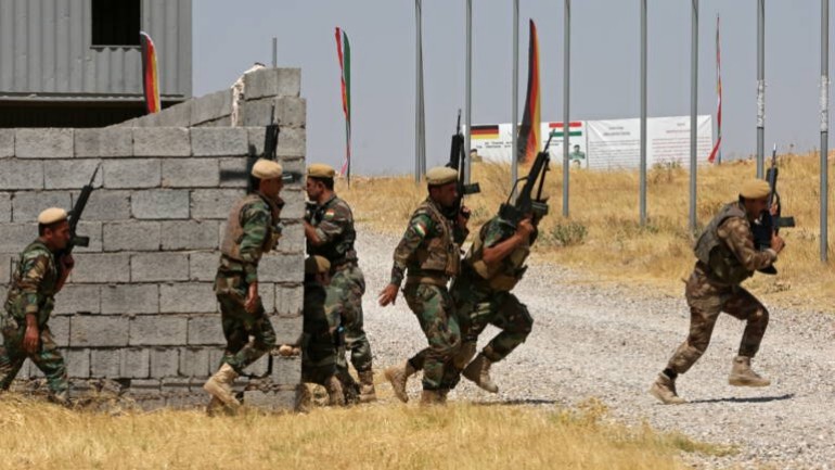 هولندا تقرر إيقاف مهمة التدريب التي يقوم بها جنودها في العراق