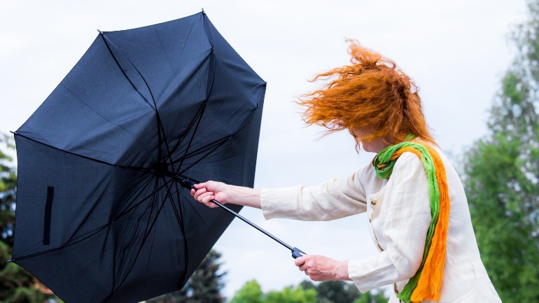 ستواجه هولندا طقس عاصف يوم الثلاثاء: رياح شديدة مع زخات مطرية