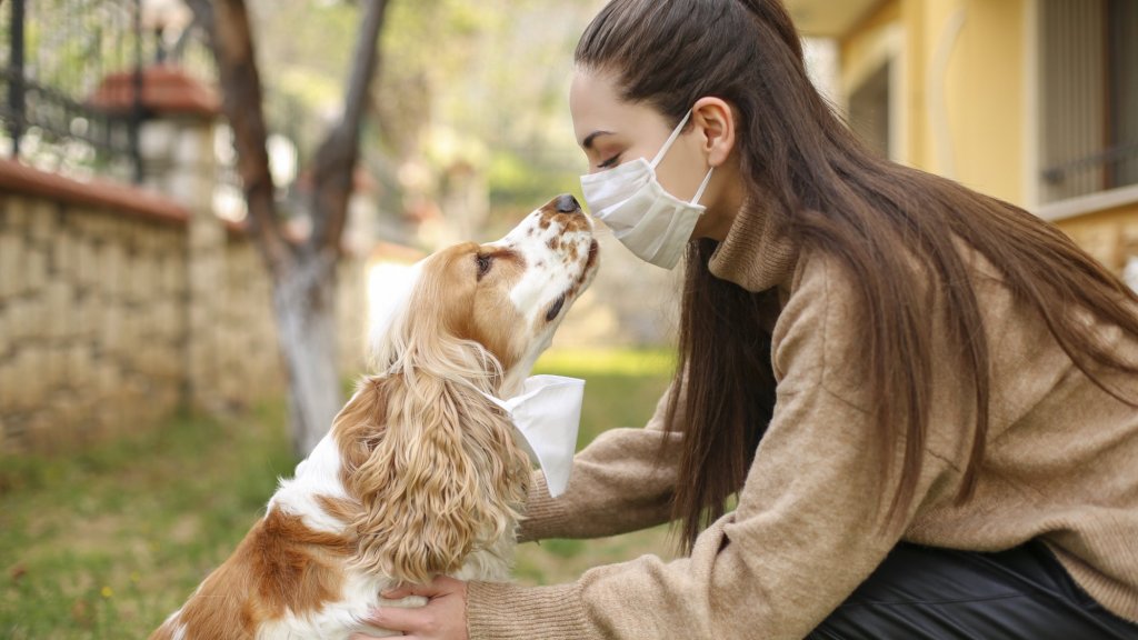 بهذه الطريقة تحمي حيوانك الأليف ضد فيروس الكورونا