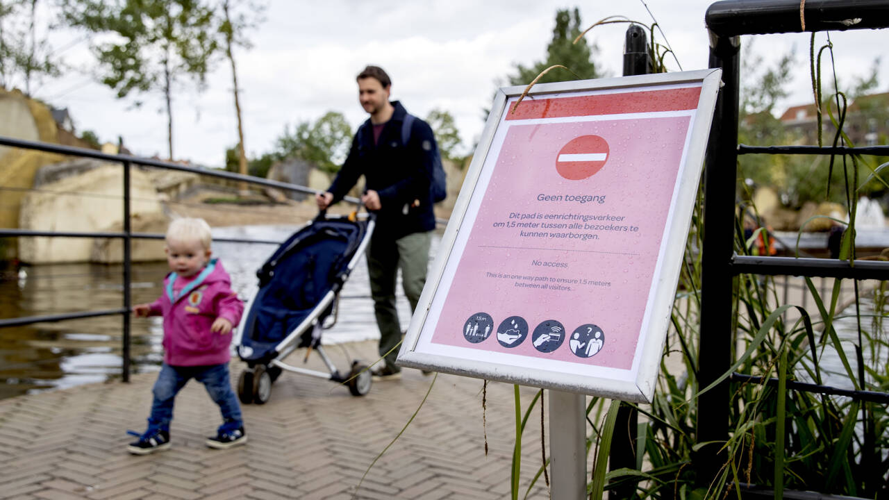 علينا أن نتعلم كيف نتعايش مع الفيروس