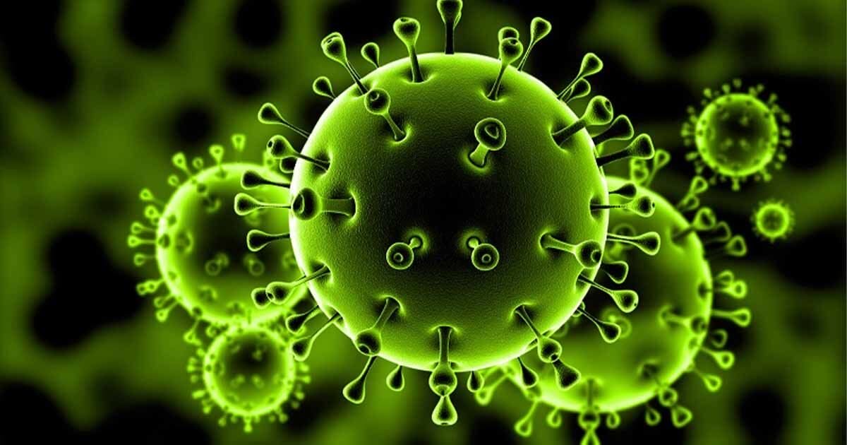 هل يمكن لفيروس الكورونا في هولندا أن يختفي ؟