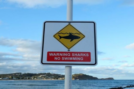 وفاة راكب أمواج على يد سمكة قرش في أستراليا 