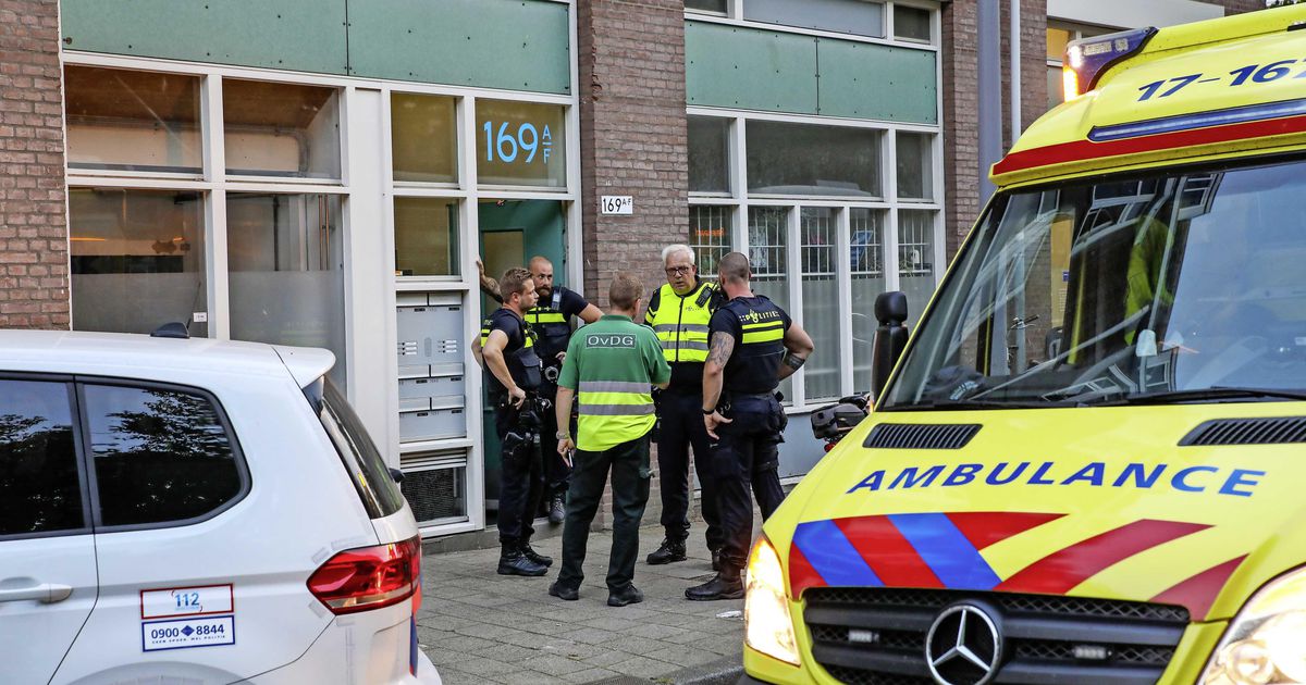 القبض على فتاة (16 عاماً) لطعنها فتاة أخرى في Rotterdam