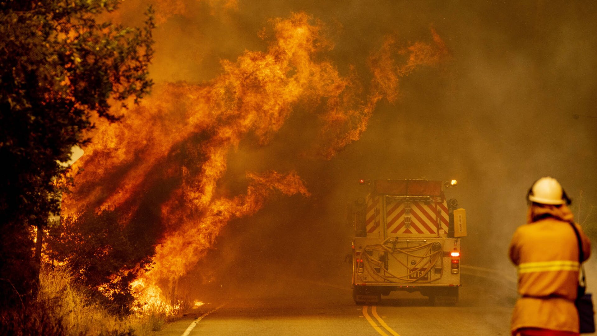 حاكم ولاية كاليفورنيا يعلن حالة الطوارئ بسبب حرائق الغابات