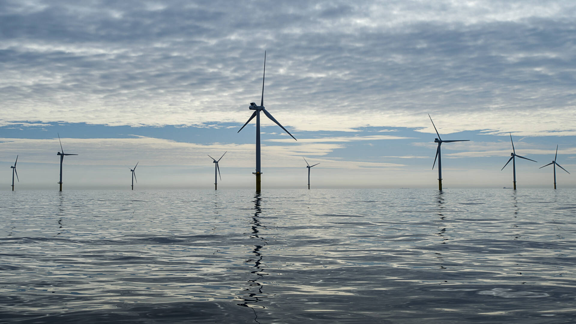 تربط هولندا والمملكة المتحدة مزارع الرياح في بحر الشمال