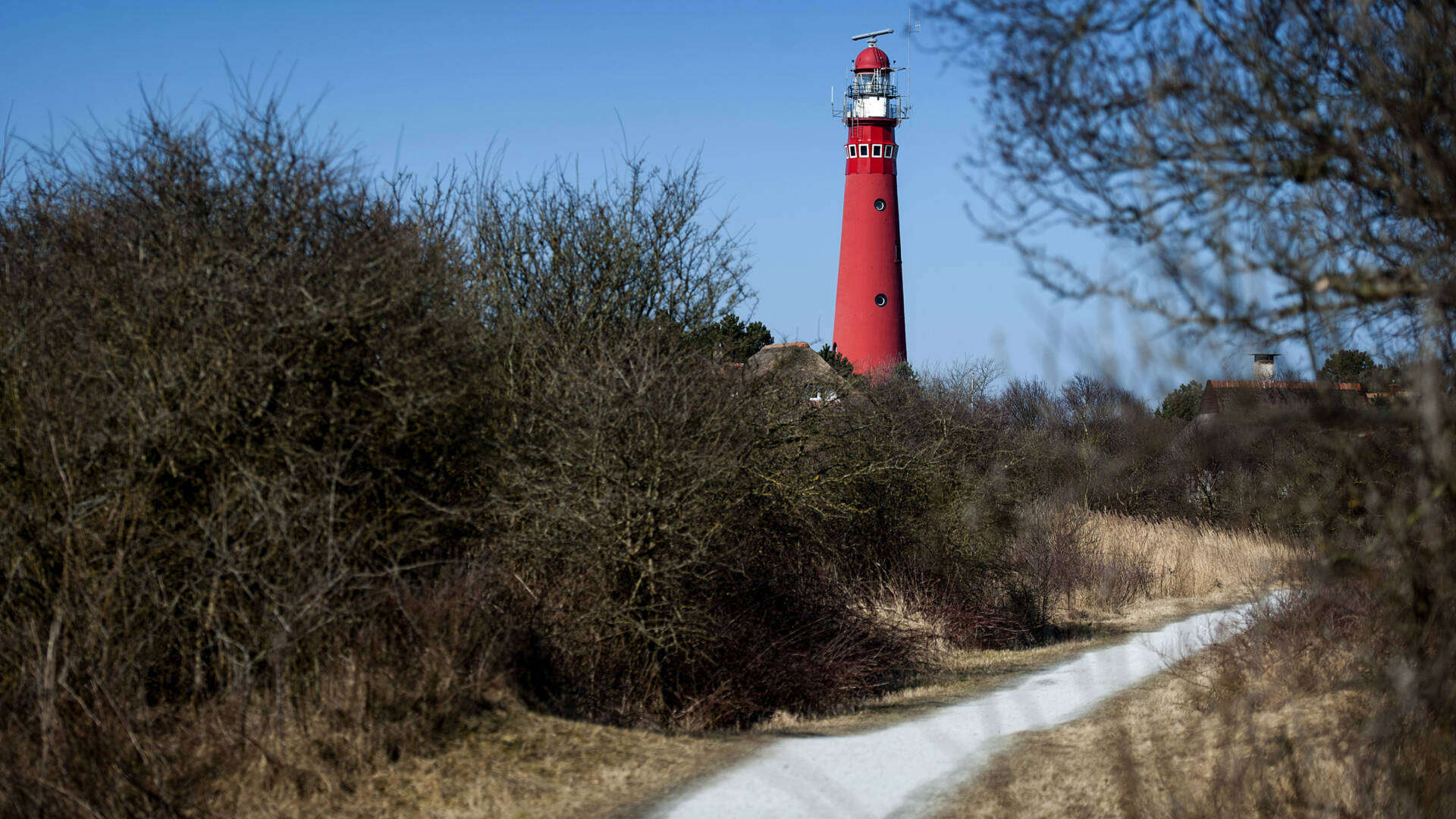 اكتشاف أول إصابة بكورونا في جزيرة Schiermonnikoog الهولندية