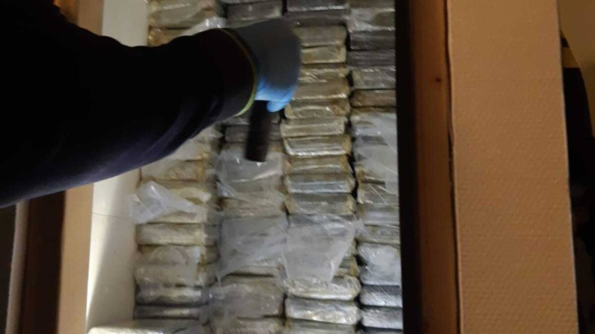 العثور على مئات الكيلوغرامات من الكوكايين في منازل في Rotterdam