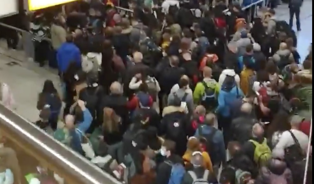 الشعب الهولندي غاضب بسبب الفوضى والحشود في مطار Schiphol