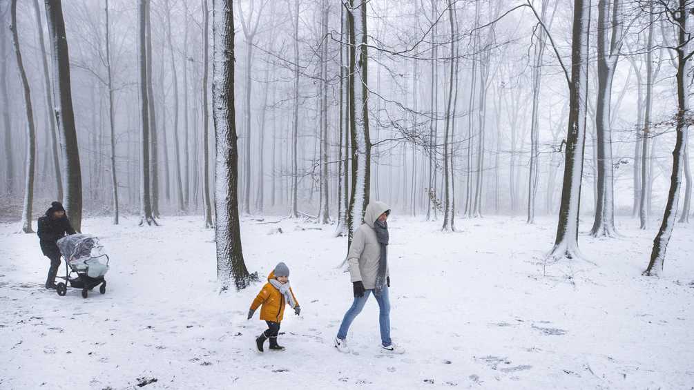 ربما عطلة نهاية أسبوع شتوية مليئة بالثلوج، وعالم أبيض جميل
