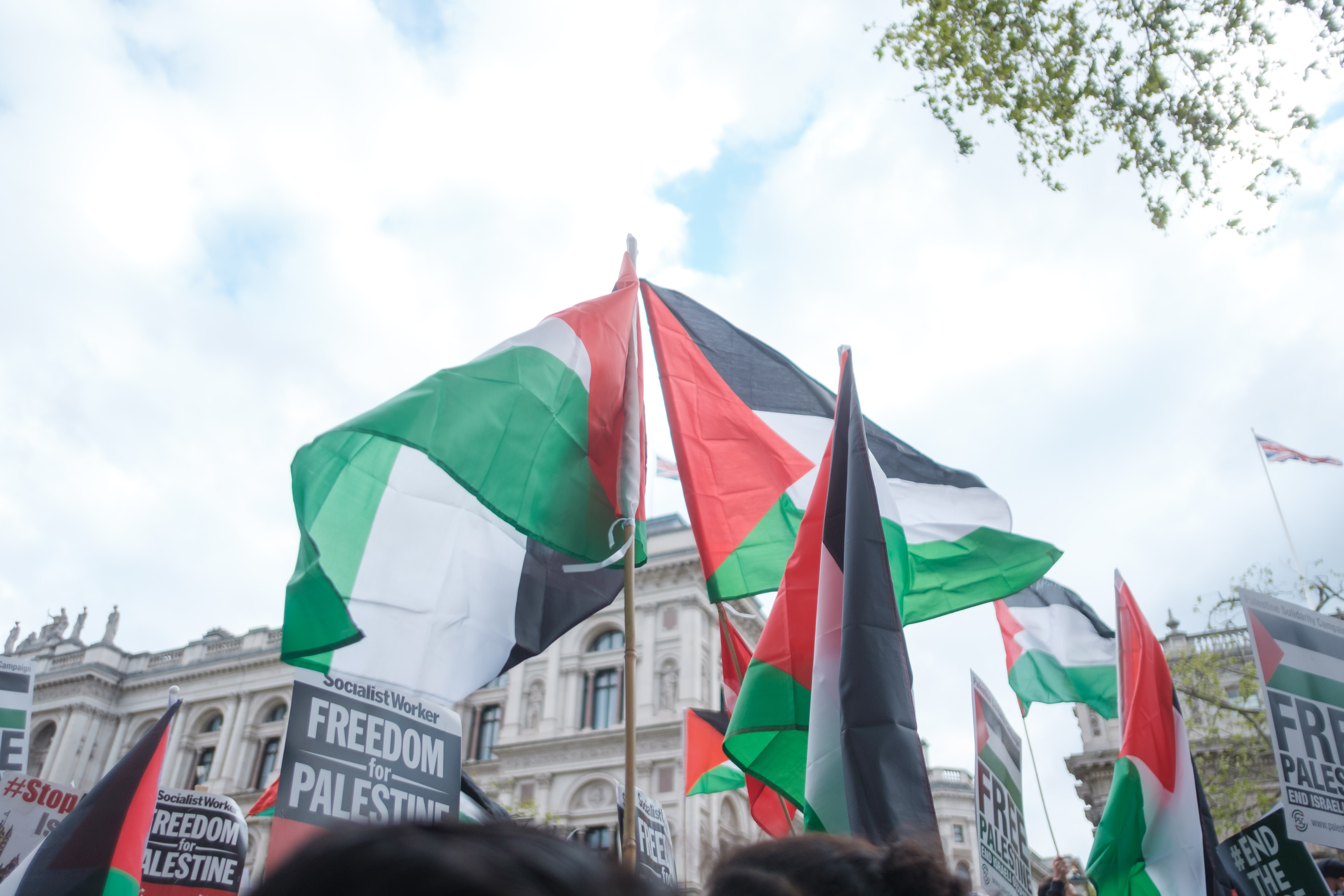 مئات المتظاهرون يحتشدون فى هولندا للتضامن مع الشعب الفلسطيني