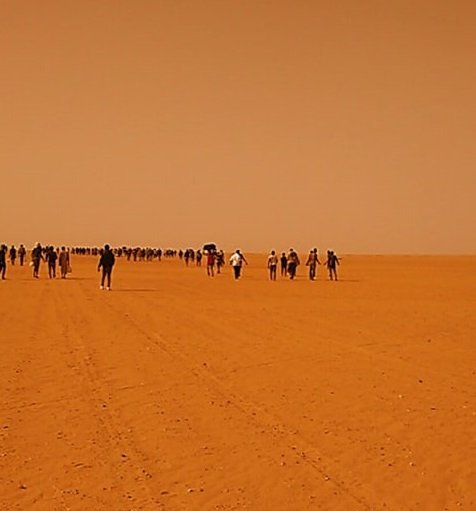ترحيل نحو 500 مهاجر أسبوعياً إلى النيجر !!