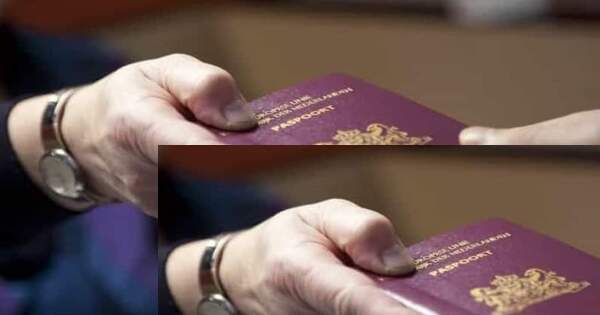 23 ألف لاجئ سوري حصلوا على الجنسية الهولندية