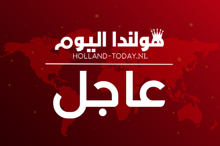 تعطل الشاحنة على طريق A6 بسبب دبور!!