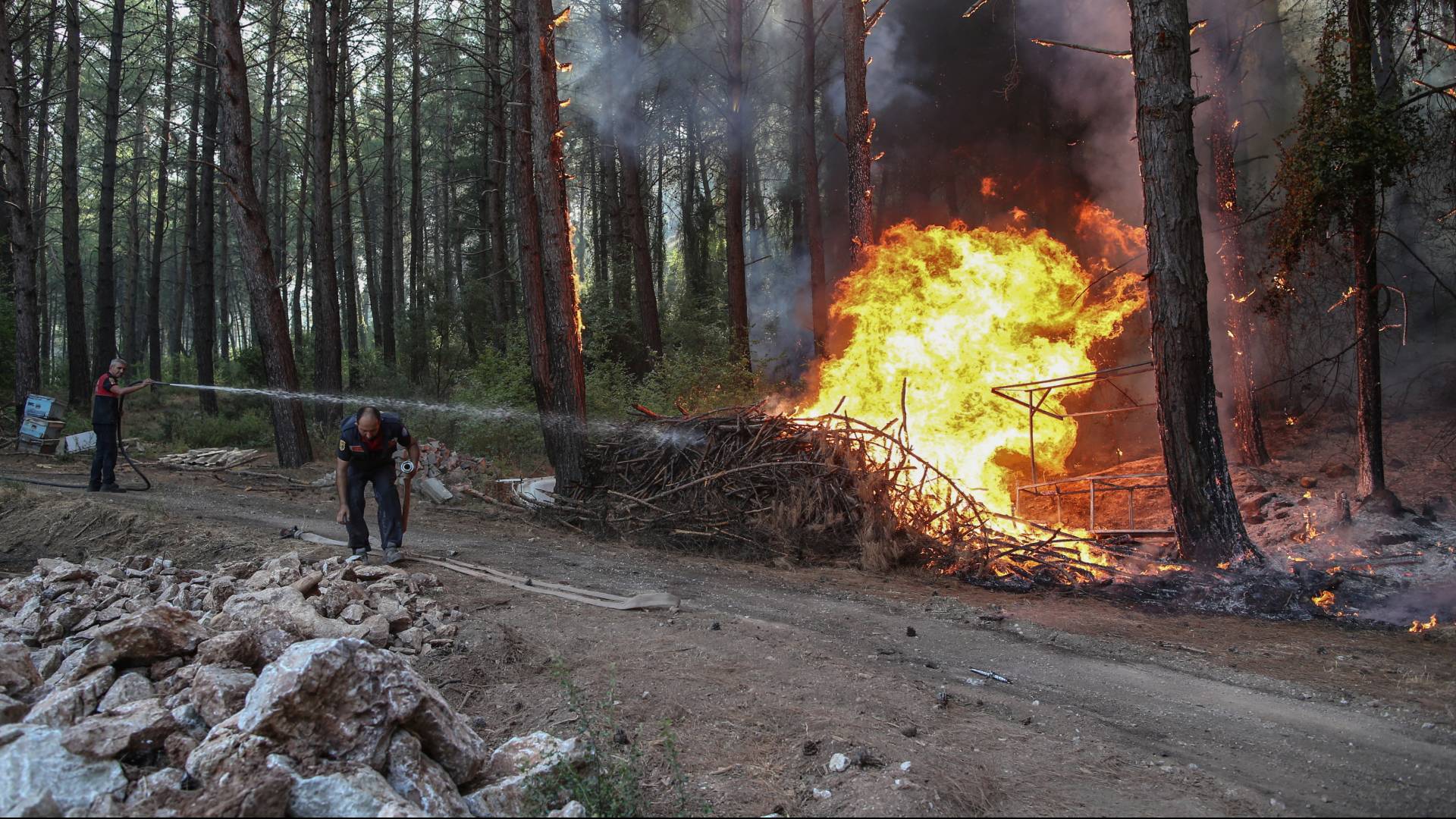 عمليات الإجلاء في تركيا وإيطاليا بسبب حرائق الغابات